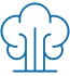 Steam methane reformers (SMRs)